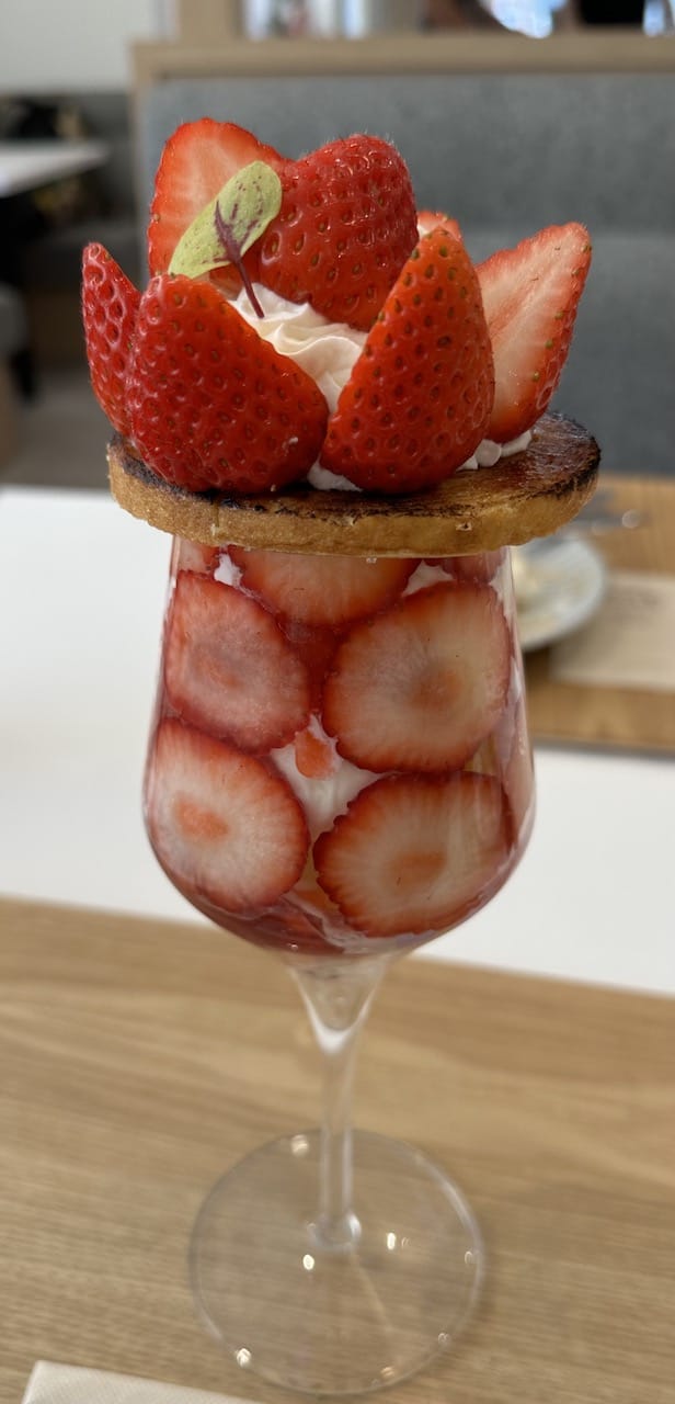 グロリアス・トーチ