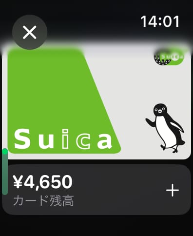 Apple Watch上での表示