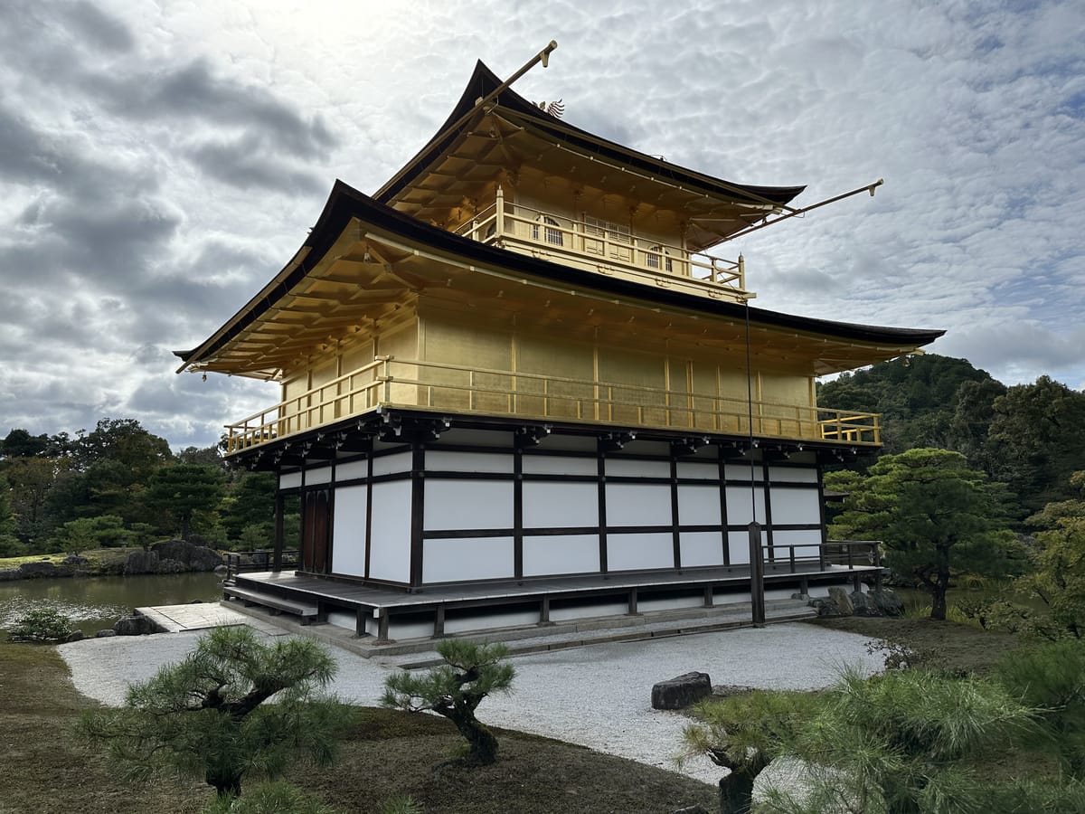 近くから撮ってみる